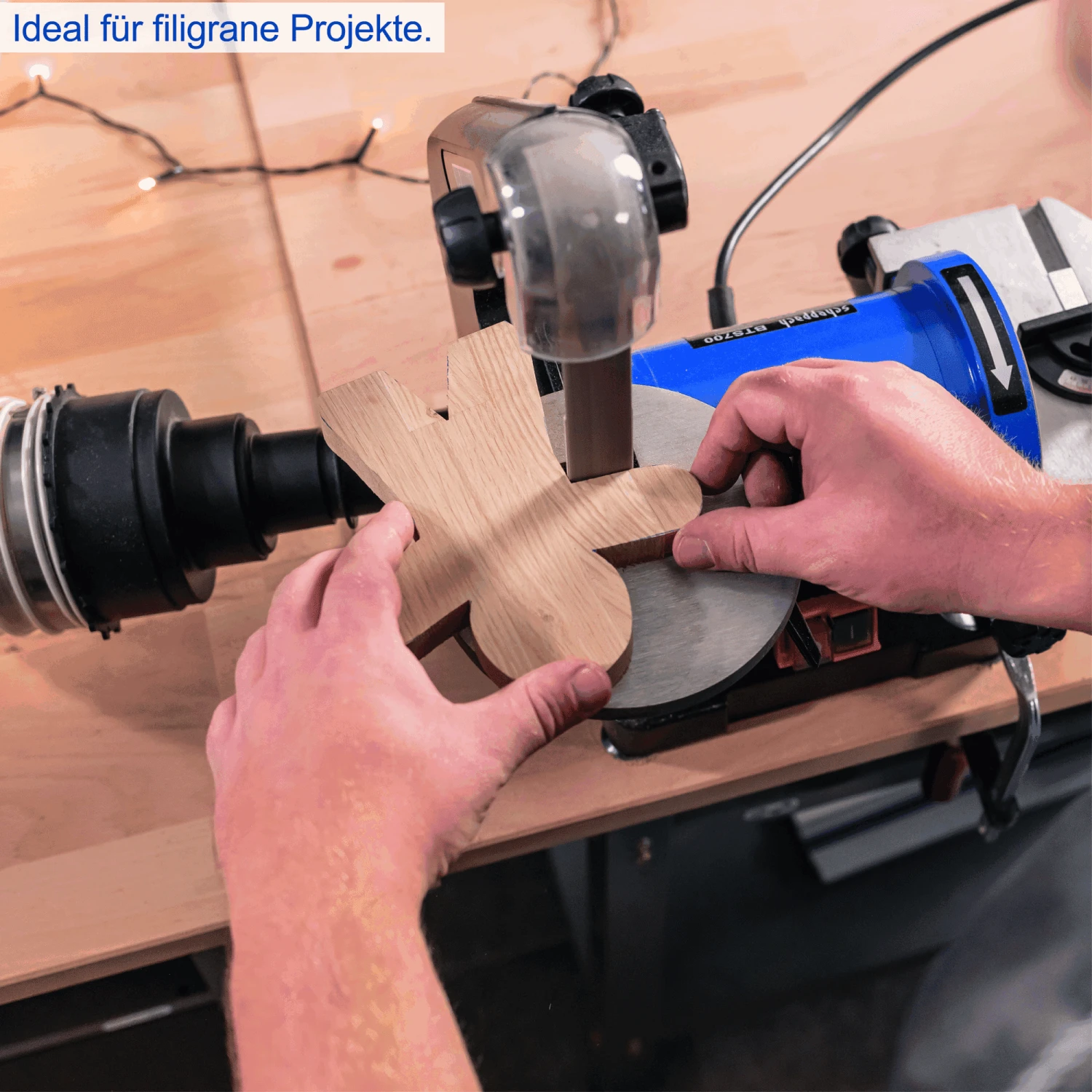 Scheppach Band- Und Tellerschleifer 'BTS700' 250 W 2 Scheppach Band- Und Tellerschleifer 'BTS700' 250 W – Bild 2